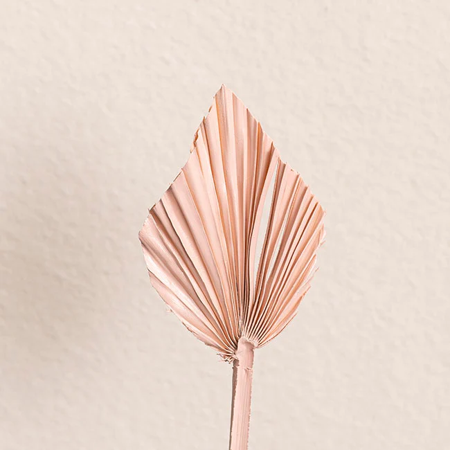 Product image 144